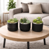 3D-Druck Pflanztopf Trio in edlem Mattschwarz bepflanzt mit Sukkulenten auf einem modernen Holztisch im Wohnzimmer.