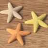 Japandi Seestern 3er-Set in verschiedenen matten Pastellfarben
